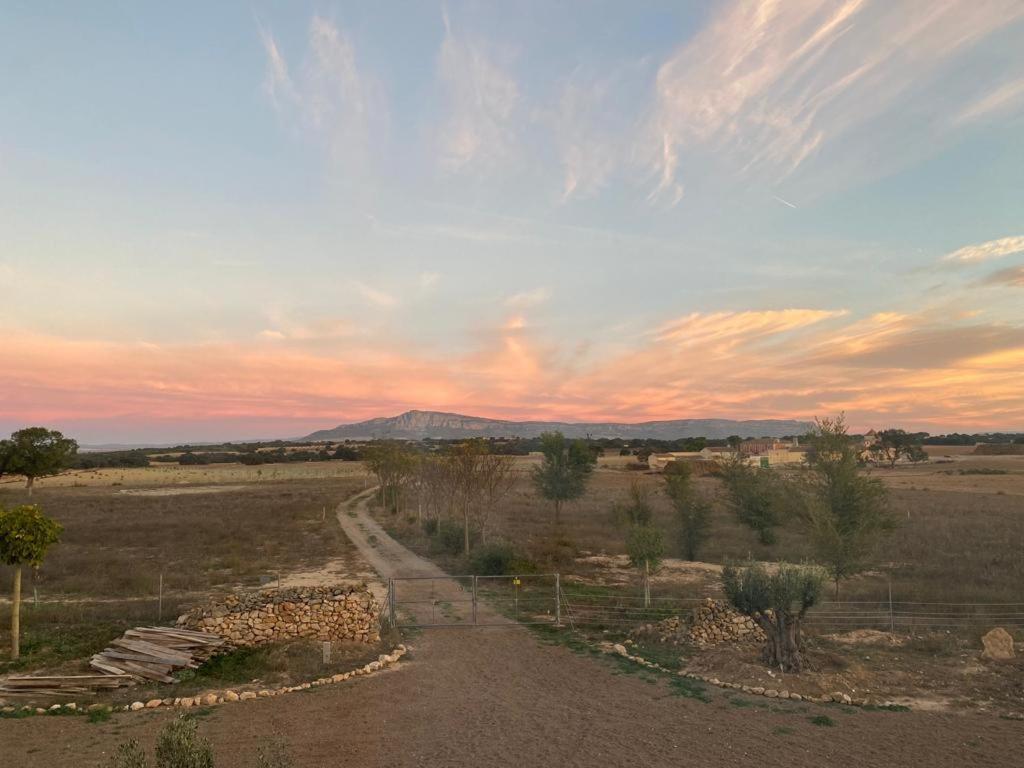 Finca Las Botas Almansa Exterior photo